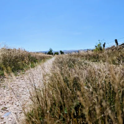 Acte 1 – Chemin de Saint-Jacques de Compostelle, du Puy-en-Velay à Nasbinals